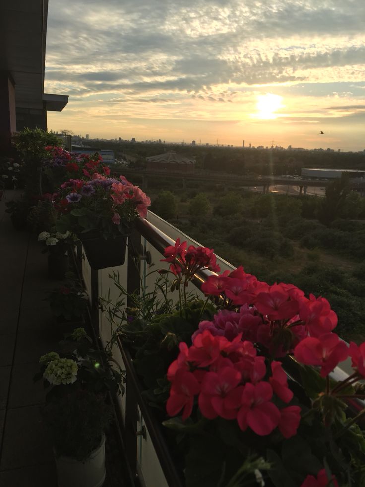 Keindahan yang Tersembunyi dalam Hal Kecil